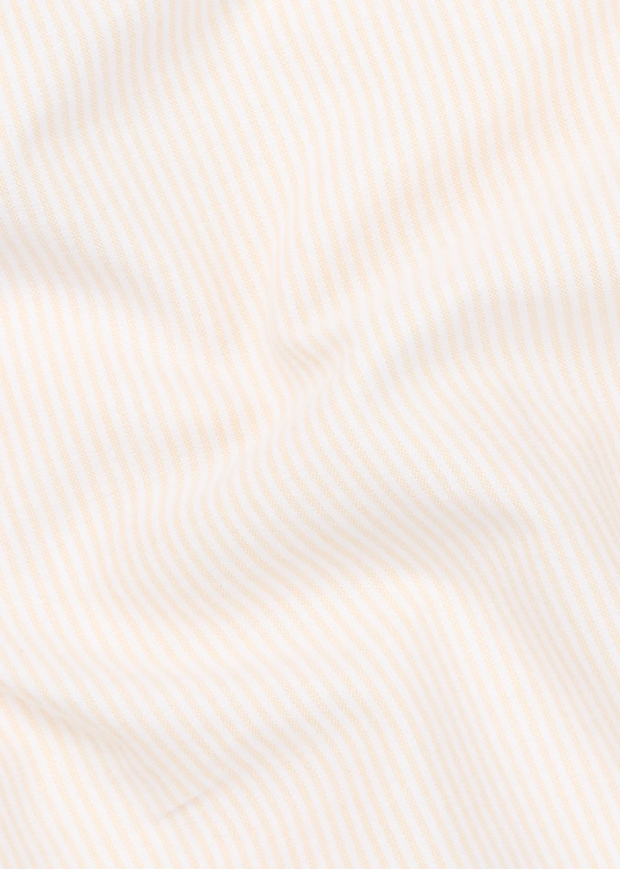 Chemise Calvi jaune et blanc - Image 6